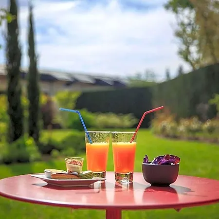 Mercure En Bresse 4* Bourg-en-Bresse
